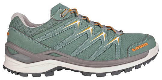 Damen Innox Pro GTX Lo Multifunktionsschuhe 