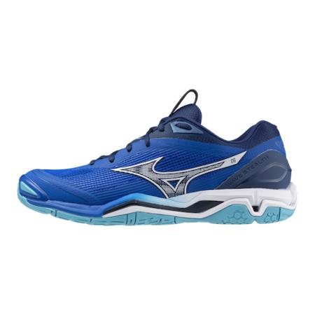 Herren Wave Stealth 6 Hallenschuhe 